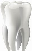 Image result for Molar Tooth Clip Art