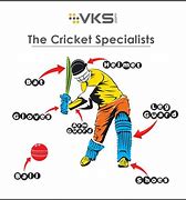 Image result for Cricket Equipment Diagram