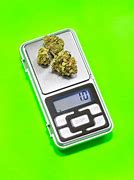 Image result for One Gram Weight