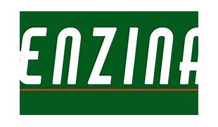 Image result for benzina