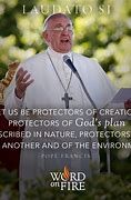 Image result for Pope Francis Laudato Si