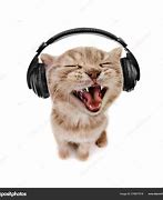 Image result for Cat Listening to Music