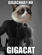 Image result for Gigachad Cat Meme