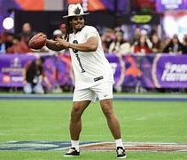 Image result for Cam Newton Fight