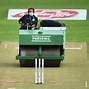 Image result for Cricket Pitch View