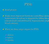 Image result for Parathyroid Gland Histology Labeled