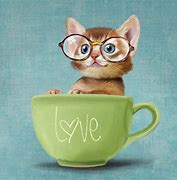 Image result for 1080X1080 Cat with Glasses