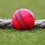 Image result for Cricket Bat Ball Photo