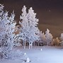 Image result for Winter Night 8K