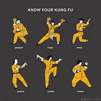 Image result for Best Kung Fu Styles