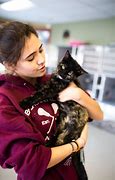Image result for AnimalSave Grass Valley
