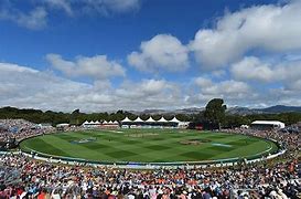 Image result for Cricket Field Dimensions Poster