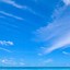 Image result for Android Tablet Wallpaper Beach
