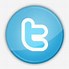 Image result for Very Small Twitter Logo