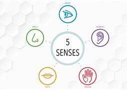 Image result for 5 Senses Mindfulness