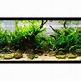 Image result for Clear Fish Tank