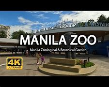 Image result for Manila Zoo Park