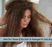 Image result for Dry Damaged Hair