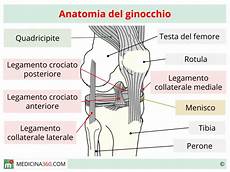 dolore parte interna ginocchio sinistro ginocchio gonfio nella parte posteriore wroc awski dolore parte interna ginocchio sinistro ginocchio gonfio nella parte posteriore wroc awski