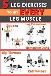 Image result for 5 Best Leg Exercises