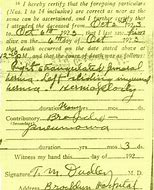 Image result for Death Certificate Printable and Fillable