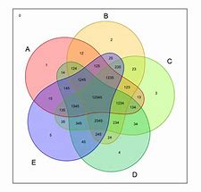 Image result for Diagram with 5 Parts