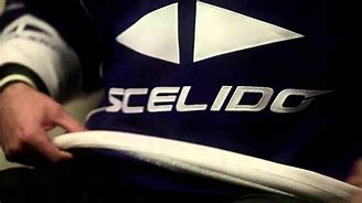 Image result for scleido