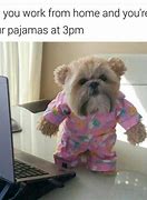 Image result for Work From Home Clothes Meme