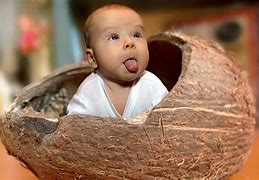 Image result for Funny Baby 4K