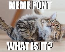 Image result for Font Is Important Meme