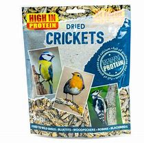 Image result for Pics of Dried Crickets