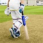 Image result for Cricket Grounding Bat In