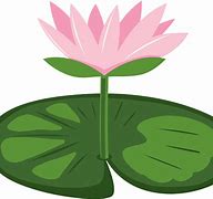 Image result for Lily Pad Flower Cartoon