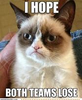 Image result for Super Bowl Cat Funny