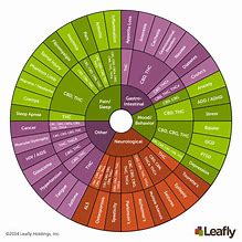 Image result for Weed Grams Chart