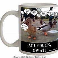 Image result for Funny Talking Duck Mug