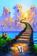 Image result for Dog Rainbow Meme Heaven