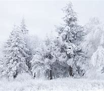 Image result for Pretty Winter Snow Scenes