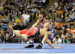 Image result for Olympic Freestyle Wrestling Weight Classes