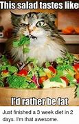 Image result for Salad Diet Meme