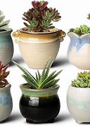 Image result for Best Pots for Succulents