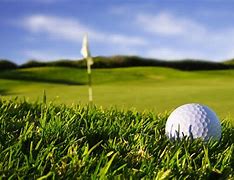 Image result for Golf Ball On Green