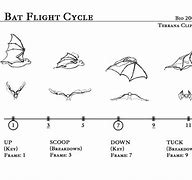 Image result for Bat Flight Patterns