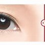 Image result for Fresh Look Monthly Colour Contact Lenses
