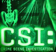 Image result for CSI Cyber Meme