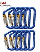 Image result for Locking Carabiner