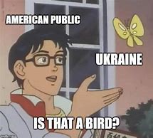 Image result for Spy Bird Meme
