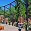 Image result for Zoo Fence