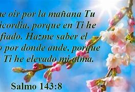 Image result for abarimiento