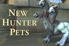 Image result for WoW Awesome Hunter Pets